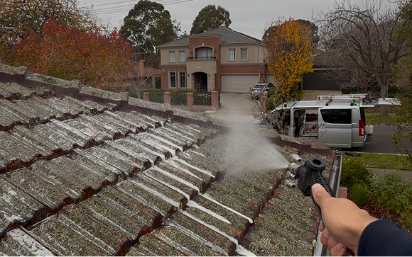 Moss & Mould Treatment - Magnum Windows Shine